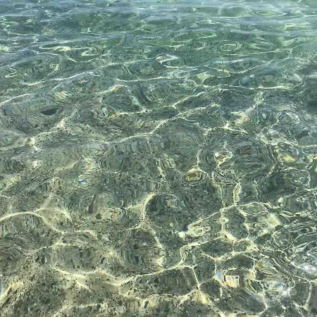 別荘 With Garden - Con Giardino *