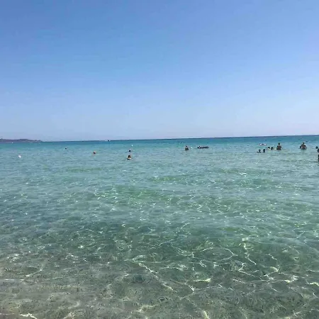 With Garden - Con Giardino