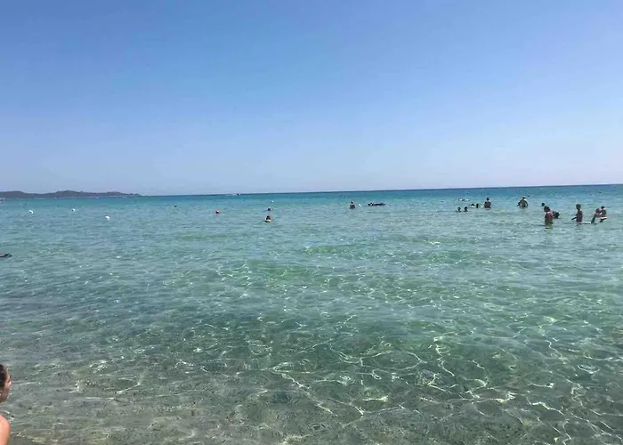 With Garden - Con Giardino